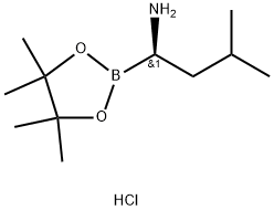 (R)-3-मिथाइल-1-(4,4,5,5-tetraMethyl-1,3,2-dioxaborolan-2-yl)butan-1-aMine hydrochloride