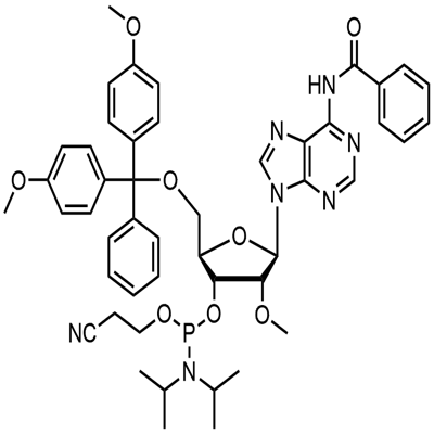 २’-ओ-मिथाइल-आरए(एन-बीझेड)फॉस्फोरामिडाइट
