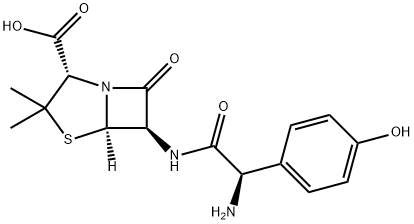 अमोक्सिसिलिन
