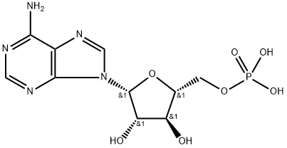स्पायडर-एएमपी