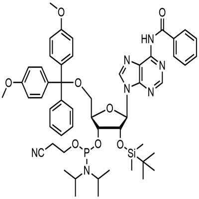 N-Benzoyl-5'-O-(4,4-Dimethoxytrityl)-2'-O-[(tert-butyl)dimethylsilyl]adenosine-3'-(2-cyanoethyl-N,N-diisopropyl)फॉस्फोरामिडाइट